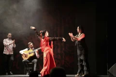 Teatro Flamenco Madrid
