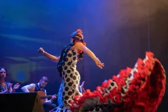 Teatro Flamenco Madrid