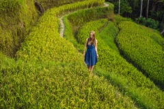 Tegalalang Rice Terrace