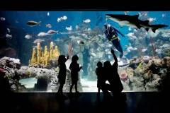 Temaikèn Zoo