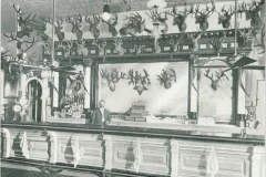 The Buckhorn Saloon & Museum