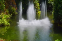 The Butchart Gardens