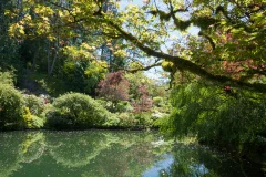 The Butchart Gardens