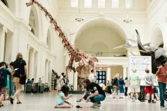 The Field Museum of Natural History