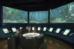 The Field Museum of Natural History
