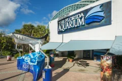 The Florida Aquarium