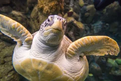 The Florida Aquarium