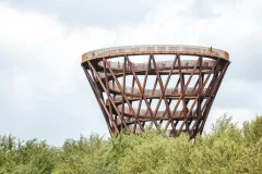 The Forest Tower