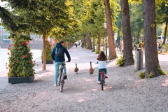 The Hague City Tours