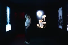 The Lighthouse of Digital Art Berlin