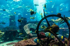The Lost Chambers Aquarium