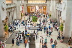 The Metropolitan Museum of Art (The Met)