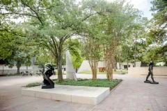 The Museum of Fine Arts Houston