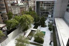 The Museum of Modern Art (MoMA)