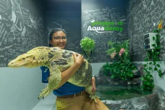 The National Aquarium Abu Dhabi