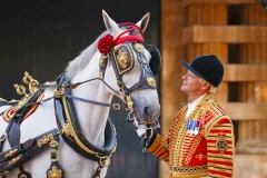 The Royal Mews
