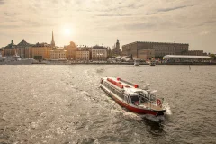 The Royal Palace Stockholm