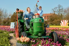 The Tulip Barn