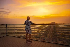 The View at The Palm