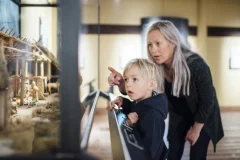 The Viking Museum