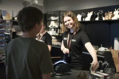 The Viking Museum
