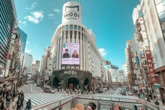 Tokyo Bus Tours