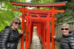 Tokyo City Tours