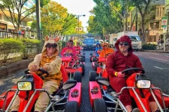 Tokyo Street Kart Tours
