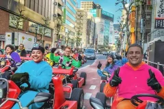 Tokyo Street Kart Tours