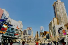 Toronto City Tours