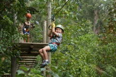 Treetops Adventure Belgrave