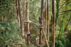 Treetops Adventure Central Coast