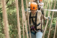 Treetops Adventure Central Coast