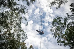 Treetops Adventure Central Coast