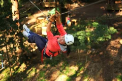 Treetops Adventure: Nowra Park