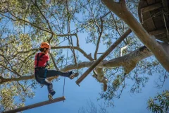Treetops Adventure Western Sydney