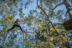 Treetops Adventure Western Sydney