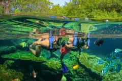 Tulum and Cenotes Day trips from Cancún