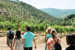 Tuscany Day Trips from Florence
