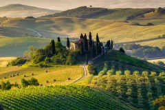 Tuscany Day Trips from Florence