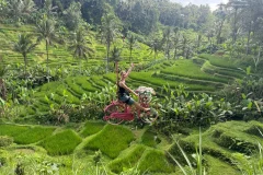 U Fun Field