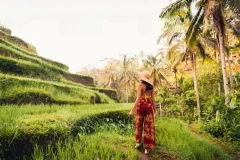 Ubud Guided Tours