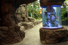 Underwater World Pattaya