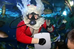 Underwater World Pattaya