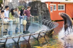 Vancouver Aquarium
