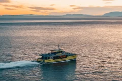 Vancouver Whale Watching