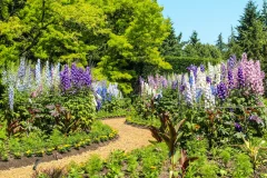 VanDusen Botanical Garden