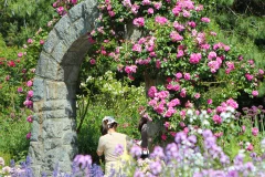 VanDusen Botanical Garden