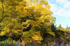 VanDusen Botanical Garden