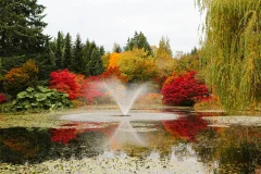 VanDusen Botanical Garden